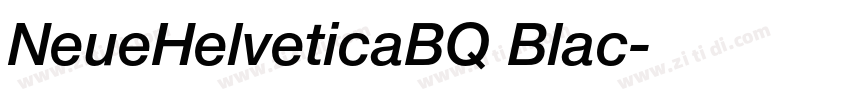 NeueHelveticaBQ Blac字体转换